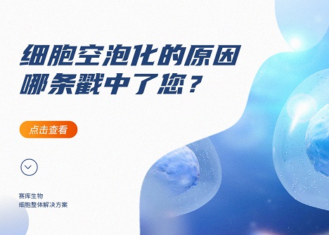 為什么細(xì)胞會(huì)出現(xiàn)空泡！