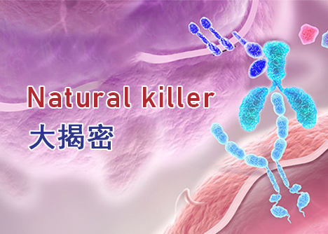 細(xì)胞學(xué)堂 | 聽(tīng)說(shuō)NK-92和NK-92MI很難養(yǎng)？