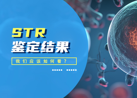 STR鑒定結(jié)果怎么看？
