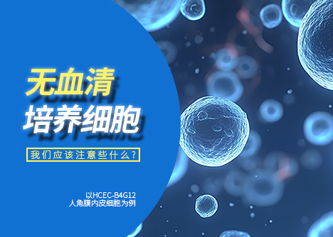 無血清條件培養(yǎng)的細(xì)胞 注意事項(xiàng)