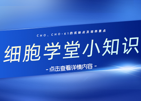 細(xì)胞學(xué)堂|詳細(xì)介紹CHO、CHO-K1細(xì)胞