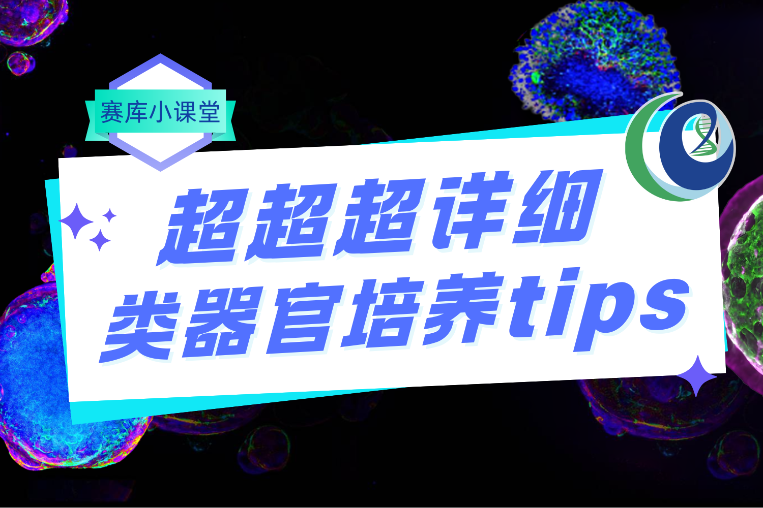 賽庫(kù)小課堂 | 類器官培養(yǎng)秘籍大公開(kāi)！超詳細(xì)指南不容錯(cuò)過(guò)
