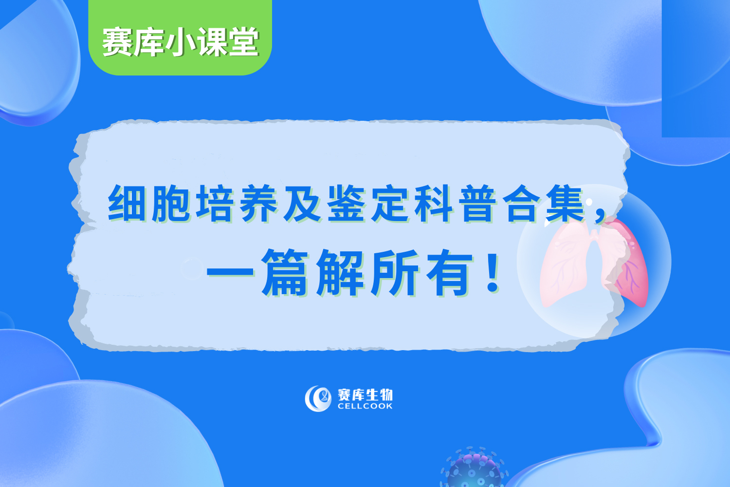 賽庫(kù)細(xì)胞培養(yǎng)及鑒定科普目錄合集，一篇解所有！