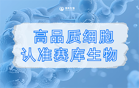 無(wú)支原體污染，這不是細(xì)胞產(chǎn)品的基本質(zhì)量標(biāo)準(zhǔn)嗎？