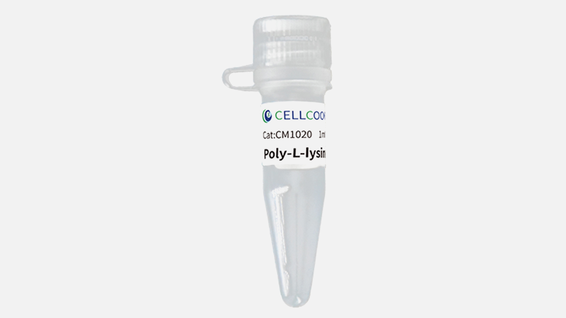 多聚賴氨酸(PLL)（10μg/mL）