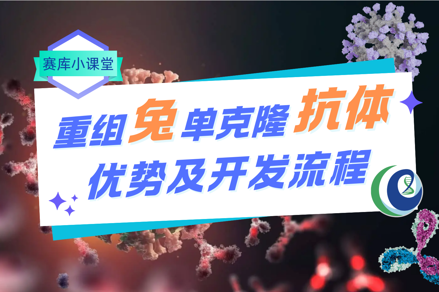 探秘重組兔單克隆抗體 | 獨(dú)特優(yōu)勢(shì)領(lǐng)航，開(kāi)發(fā)流程解碼