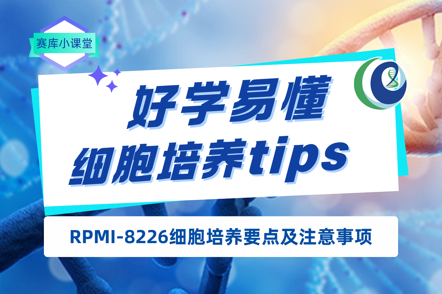 賽庫(kù)小課堂 | RPMI-8226細(xì)胞培養(yǎng)要點(diǎn)及注意事項(xiàng)