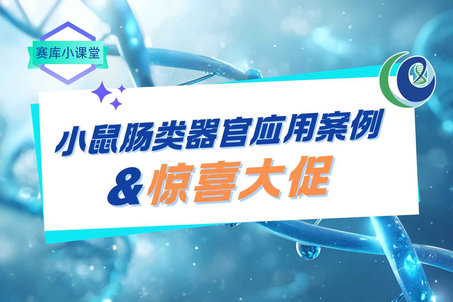 【類器官秒殺】小鼠腸類器官在醫(yī)學(xué)研究中的應(yīng)用案例 &勁爆大促