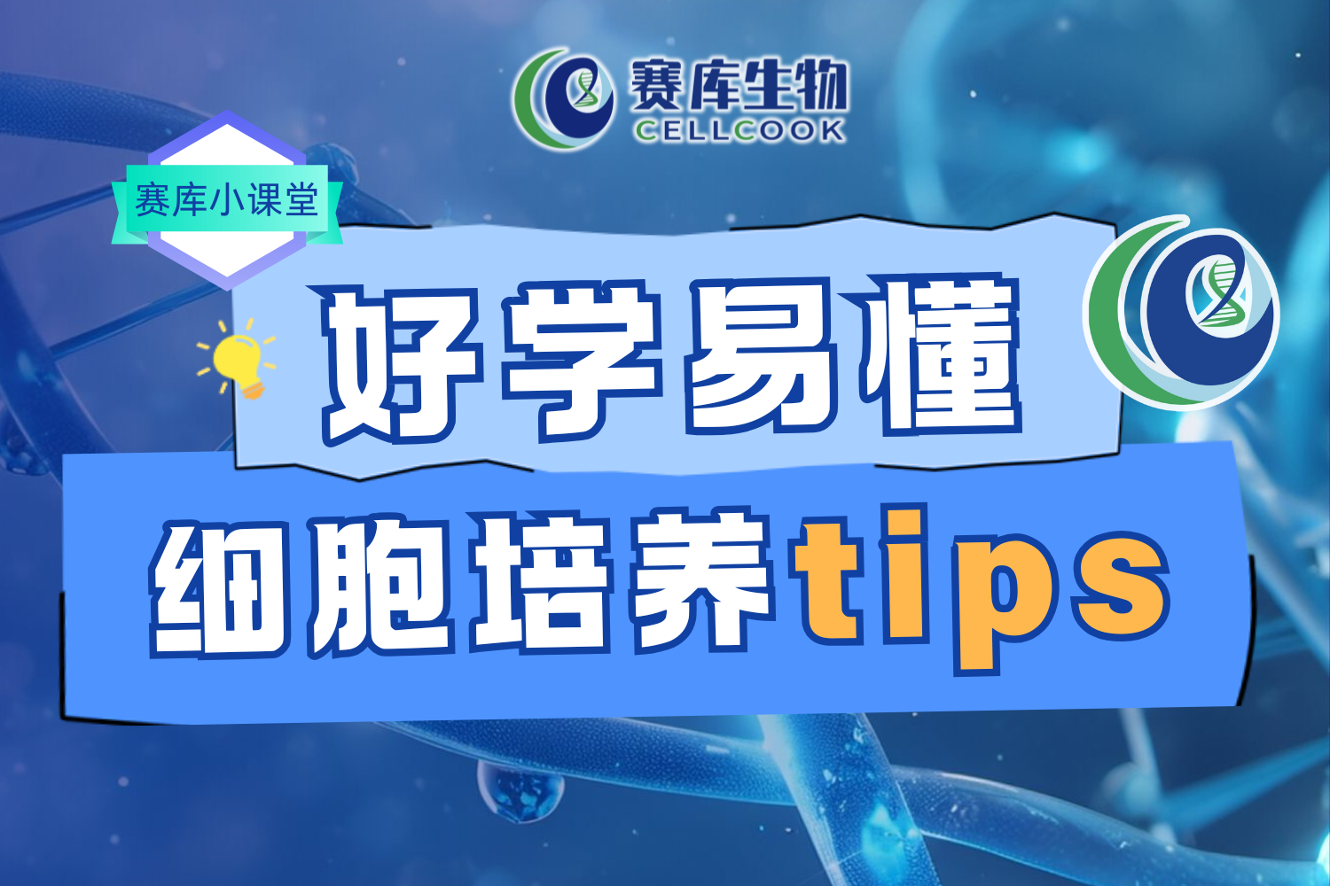 賽庫(kù)小課堂 | 科研人必看的細(xì)胞“死法”真相揭露！