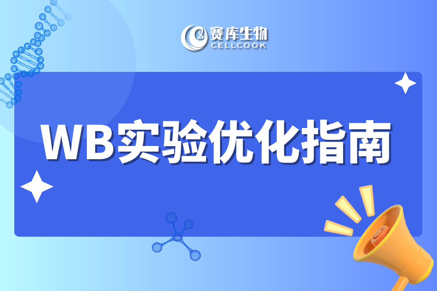 WB實(shí)驗(yàn)優(yōu)化指南&兔單抗試用嘗鮮
