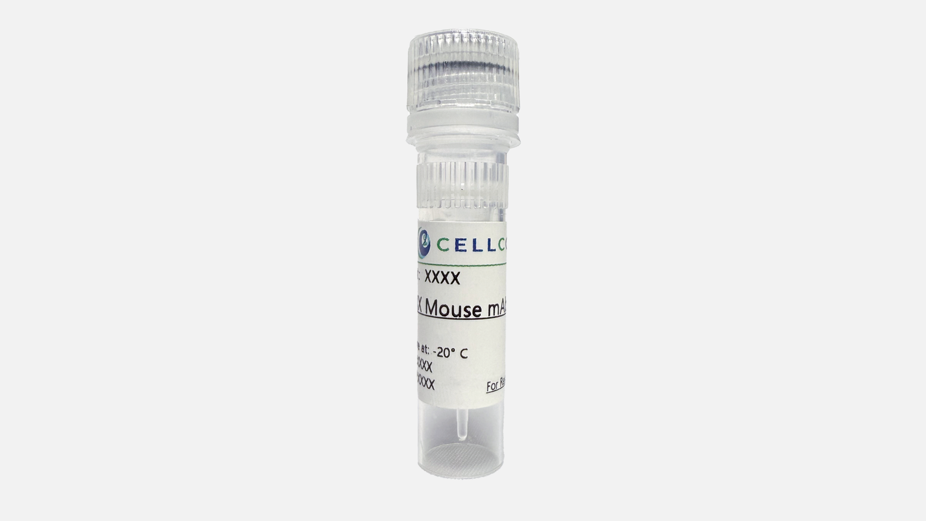 P53 Mouse mAb