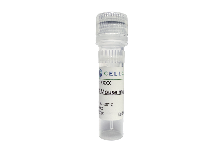 Annexin A1 (ABT-ANXA1) Mouse mAb